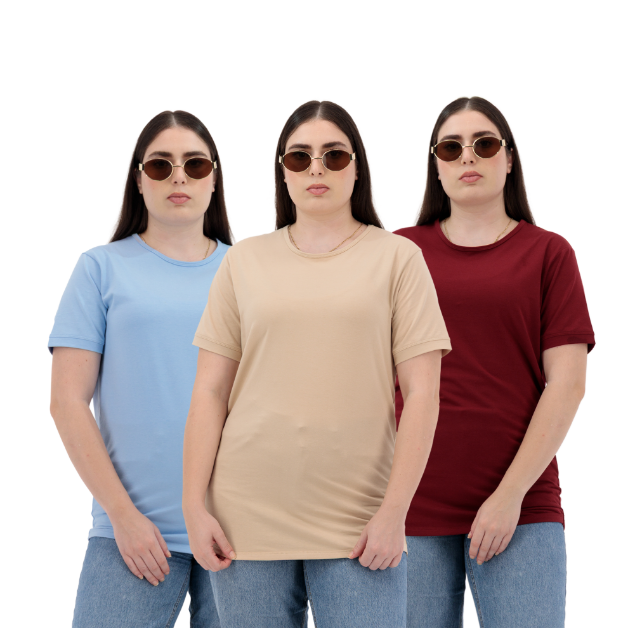 Picture of Women’s Mist, Sandstone & Rosewood Plain T-Shirt – Cotton Blend Regular Fit | Basic T-Shirts Women’s Multi-Color Collection